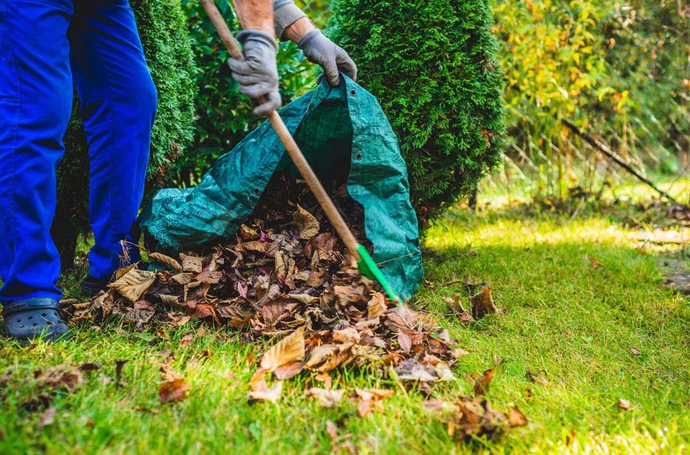 Differences Between Garden Clearance and Landscaping